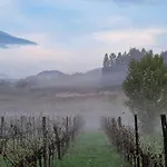 Fortified Borgo Among Friuli's Vineyards *