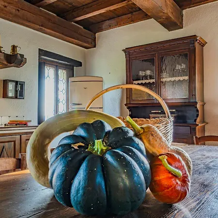 Fortified Borgo Among Friuli's Vineyards Casa vacanze *