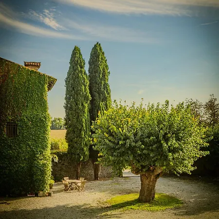 Fortified Borgo Among Friuli's Vineyards בית נופש *